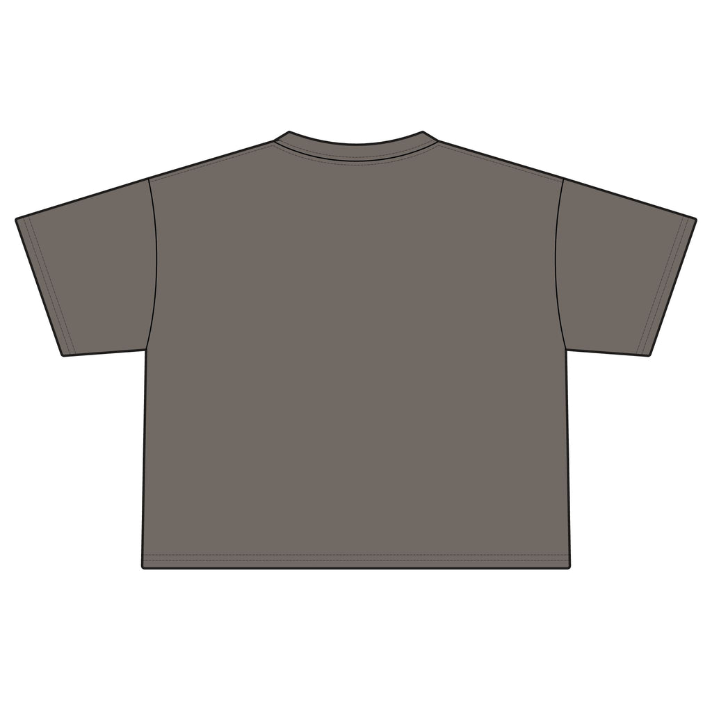 Colorful Songbirds Boxy Tee — Women's Bird Graphic Shirt