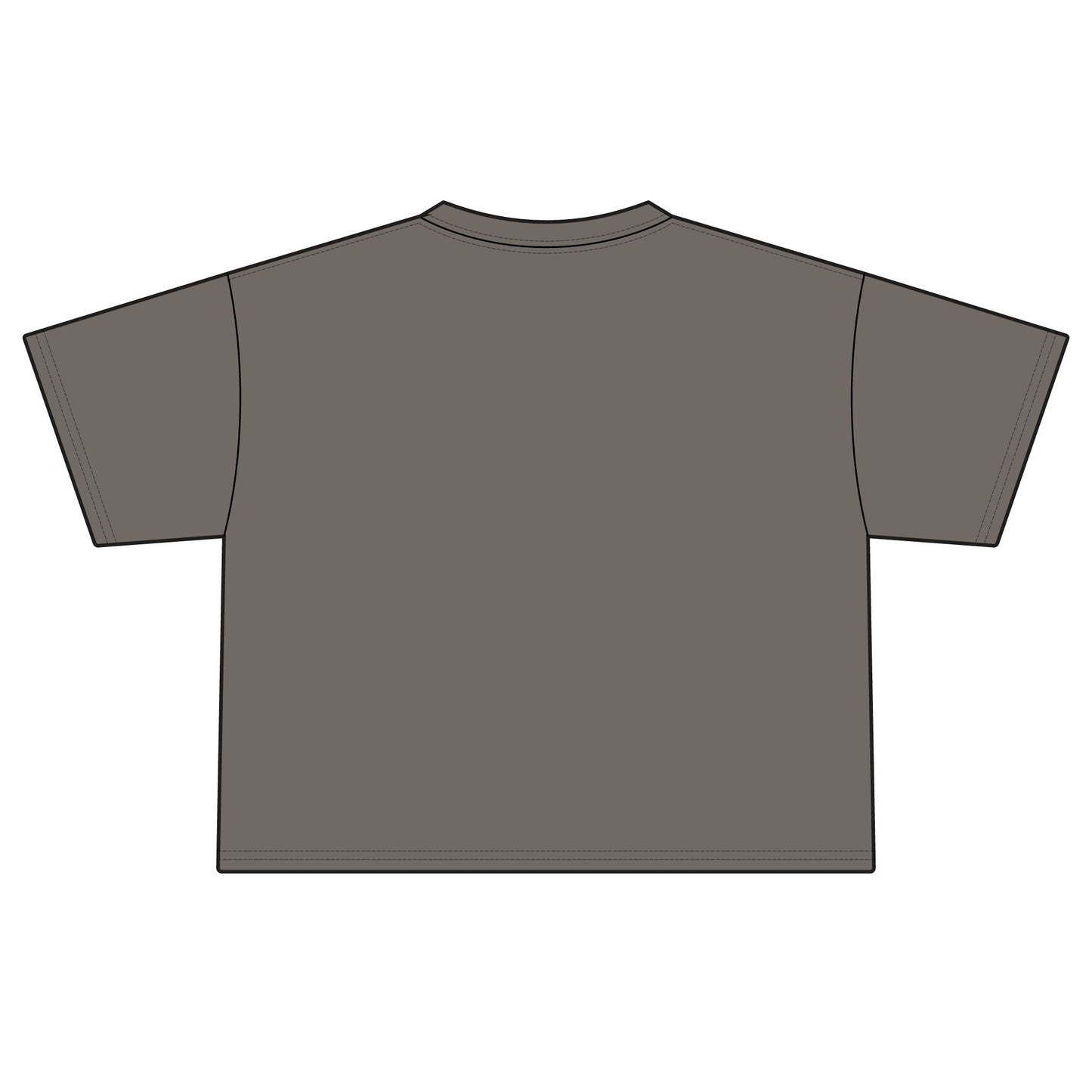 Colorful Songbirds Boxy Tee — Women's Bird Graphic Shirt