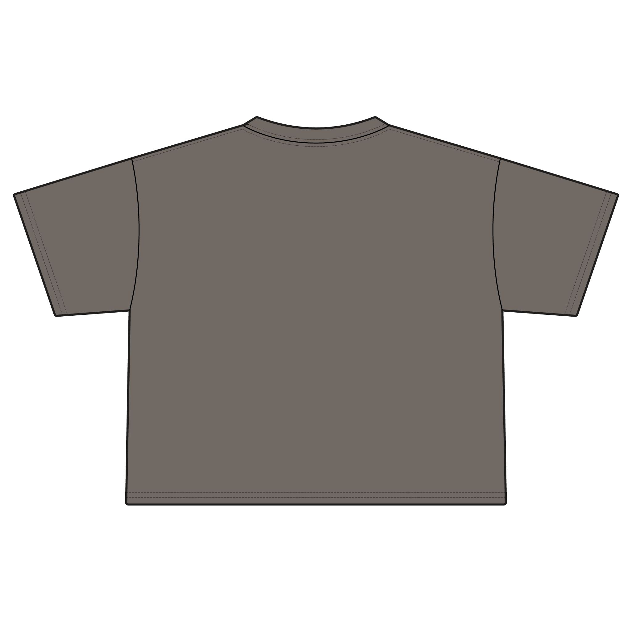 Colorful Songbirds Boxy Tee — Women's Bird Graphic Shirt