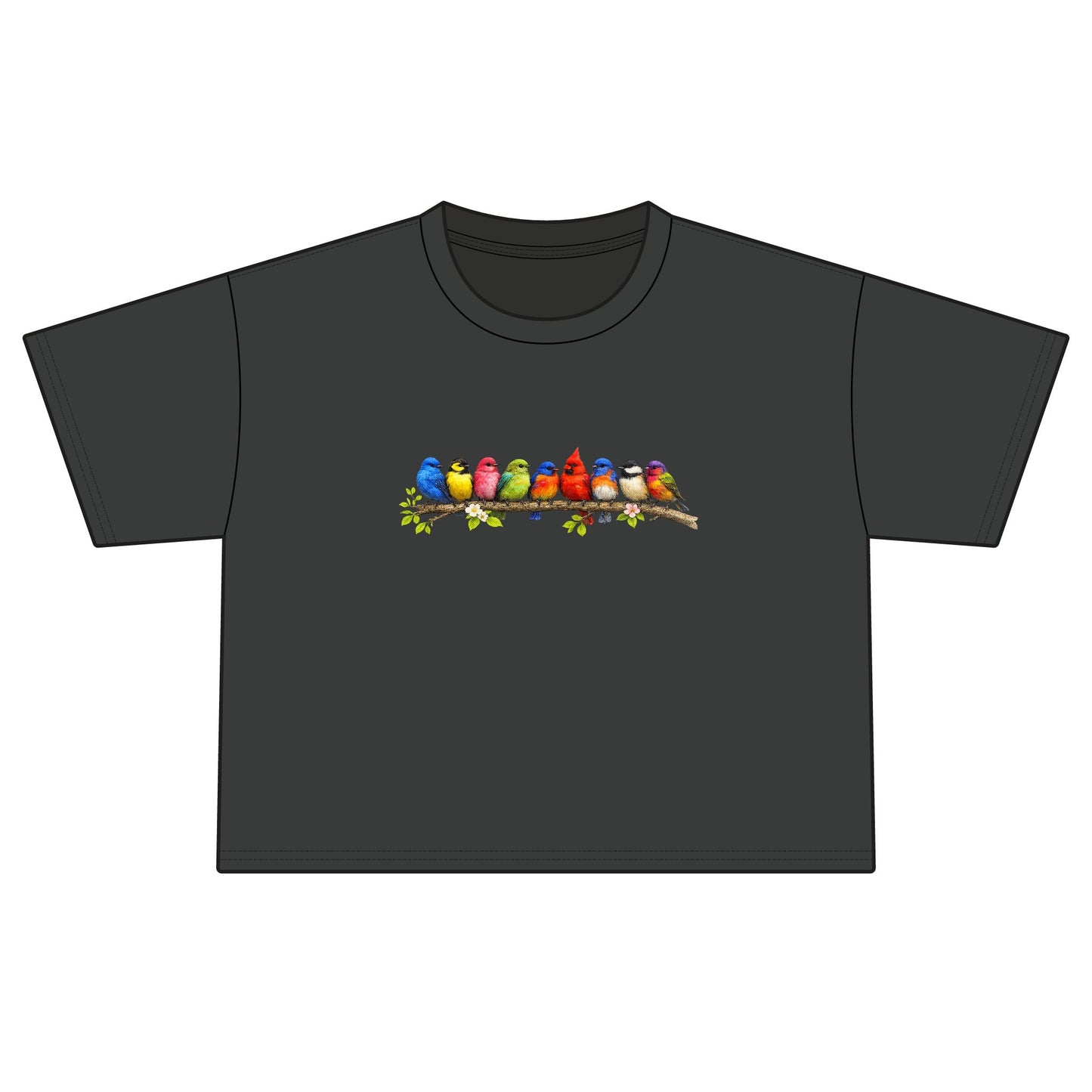 Colorful Songbirds Boxy Tee — Women's Bird Graphic Shirt