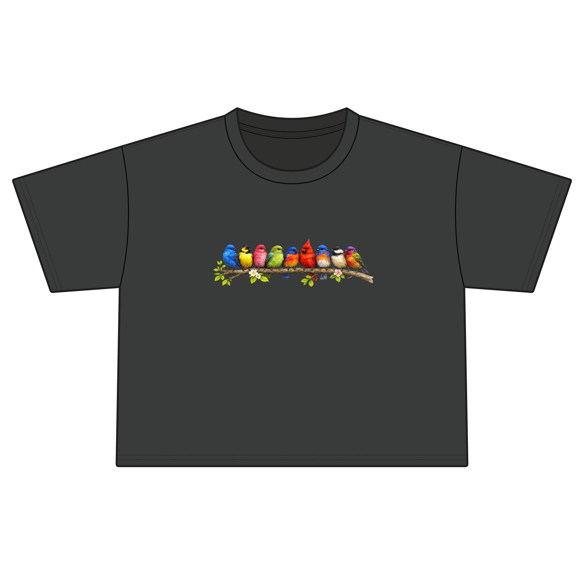 Colorful Songbirds Boxy Tee — Women's Bird Graphic Shirt