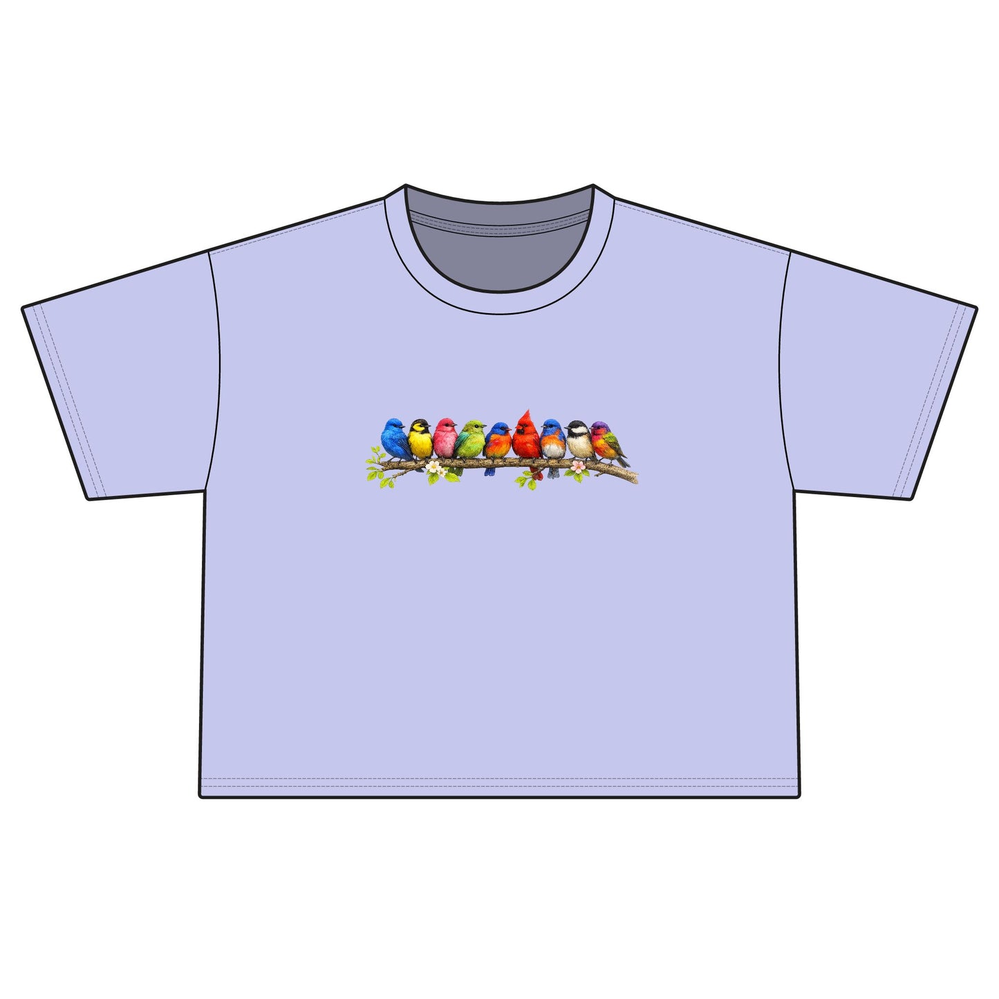 Colorful Songbirds Boxy Tee — Women's Bird Graphic Shirt