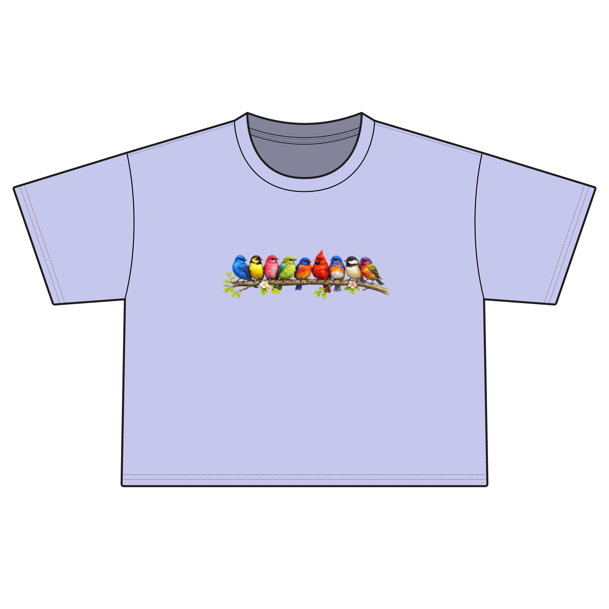 Colorful Songbirds Boxy Tee — Women's Bird Graphic Shirt