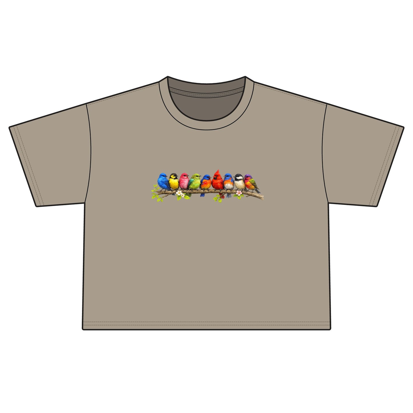 Colorful Songbirds Boxy Tee — Women's Bird Graphic Shirt
