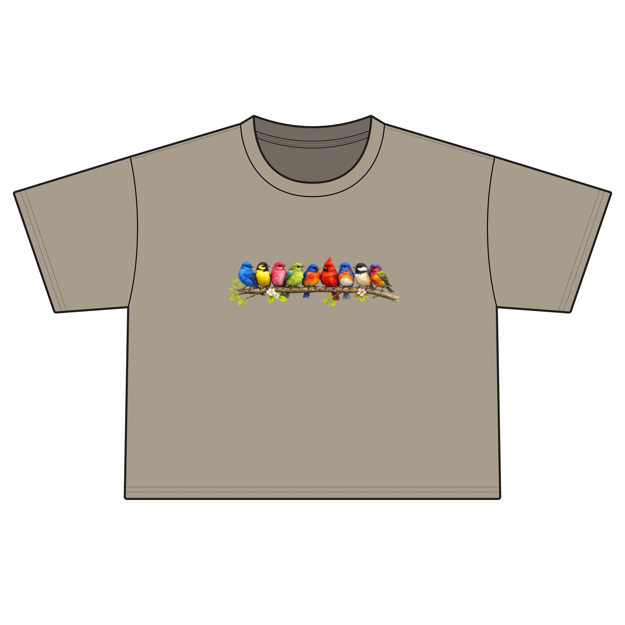 Colorful Songbirds Boxy Tee — Women's Bird Graphic Shirt