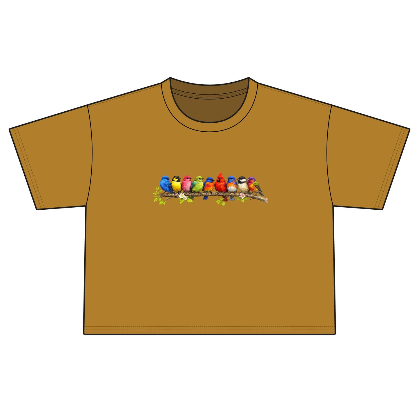 Colorful Songbirds Boxy Tee — Women's Bird Graphic Shirt