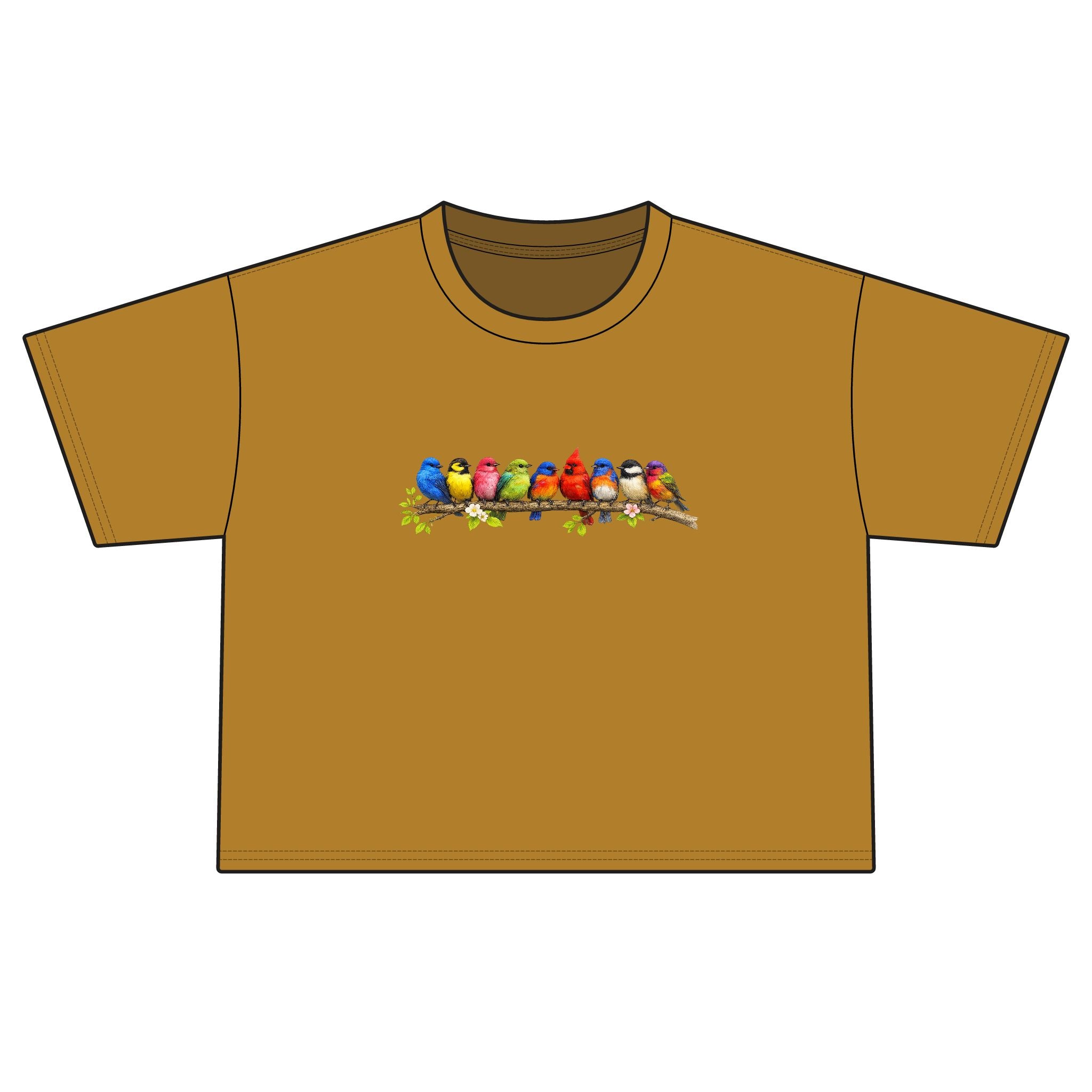 Colorful Songbirds Boxy Tee — Women's Bird Graphic Shirt