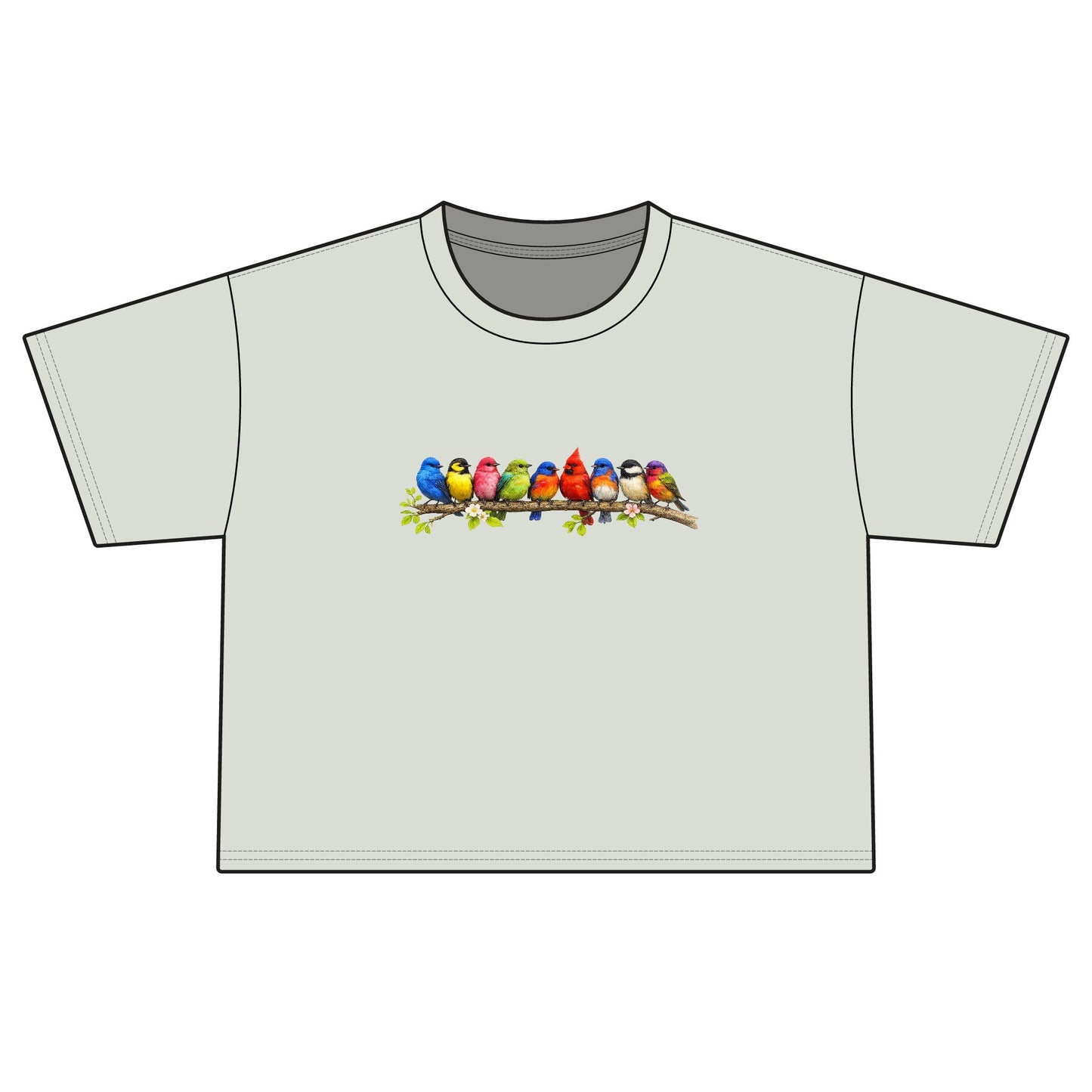 Colorful Songbirds Boxy Tee — Women's Bird Graphic Shirt