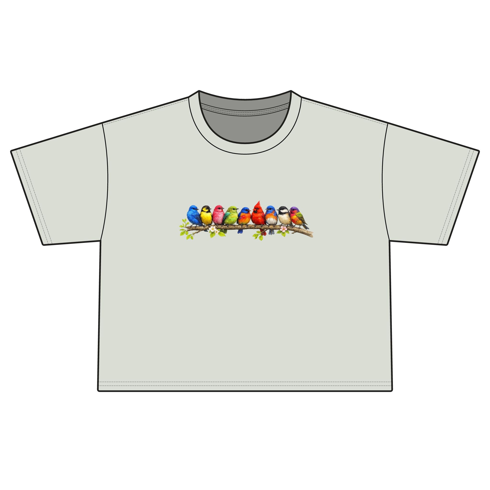 Colorful Songbirds Boxy Tee — Women's Bird Graphic Shirt