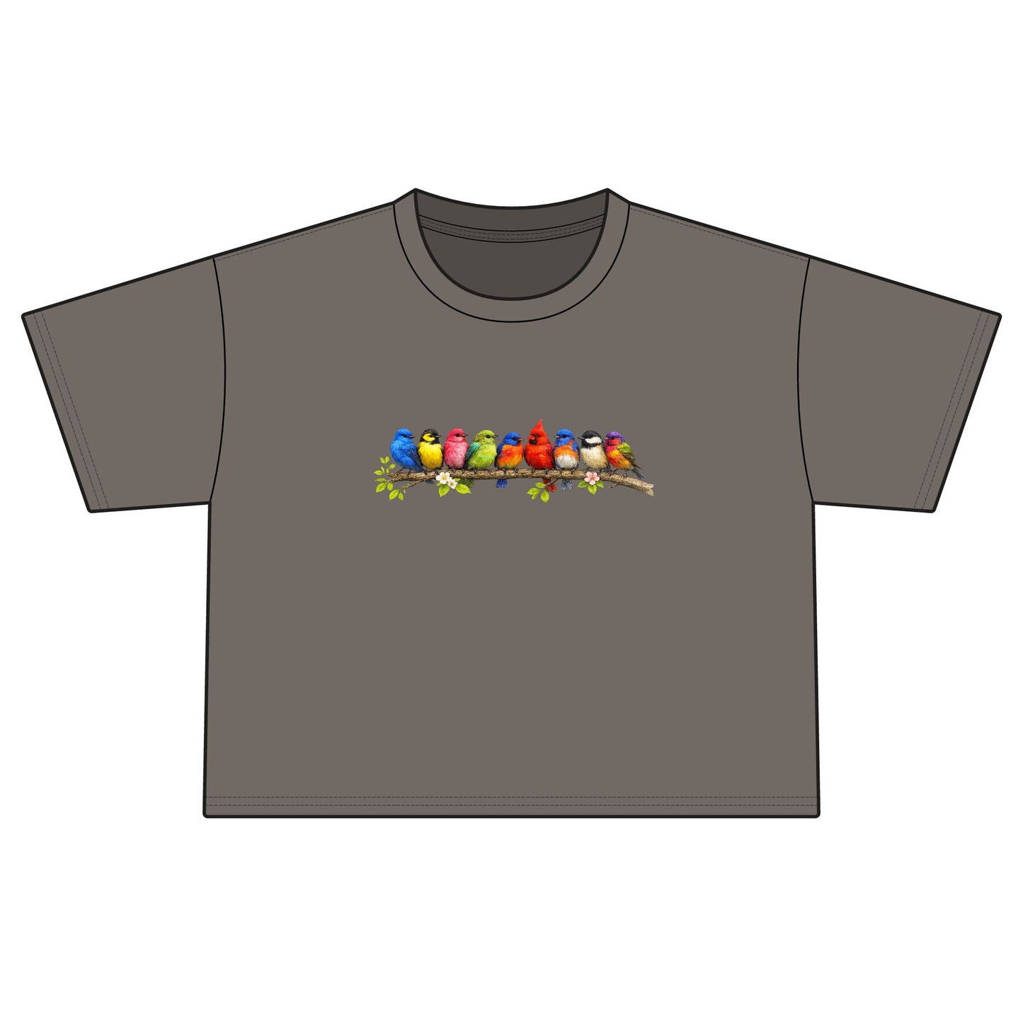 Colorful Songbirds Boxy Tee — Women's Bird Graphic Shirt