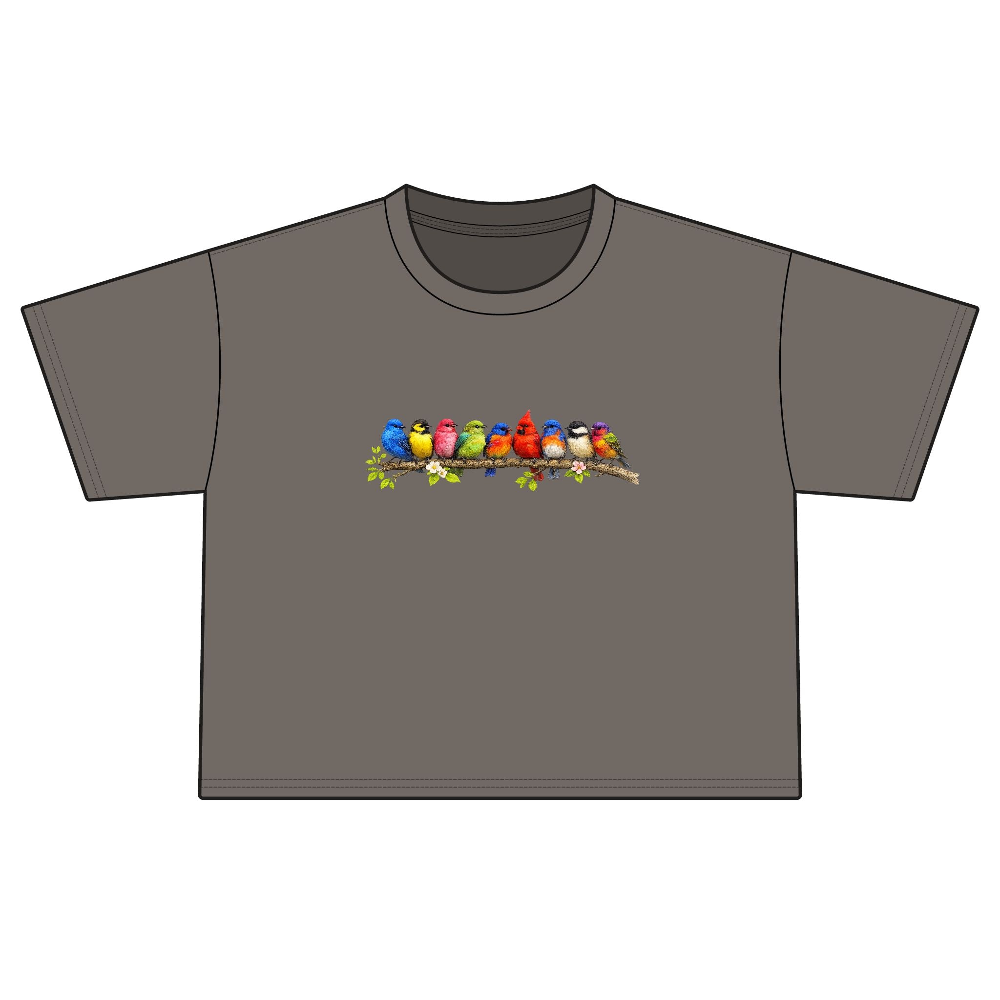 Colorful Songbirds Boxy Tee — Women's Bird Graphic Shirt