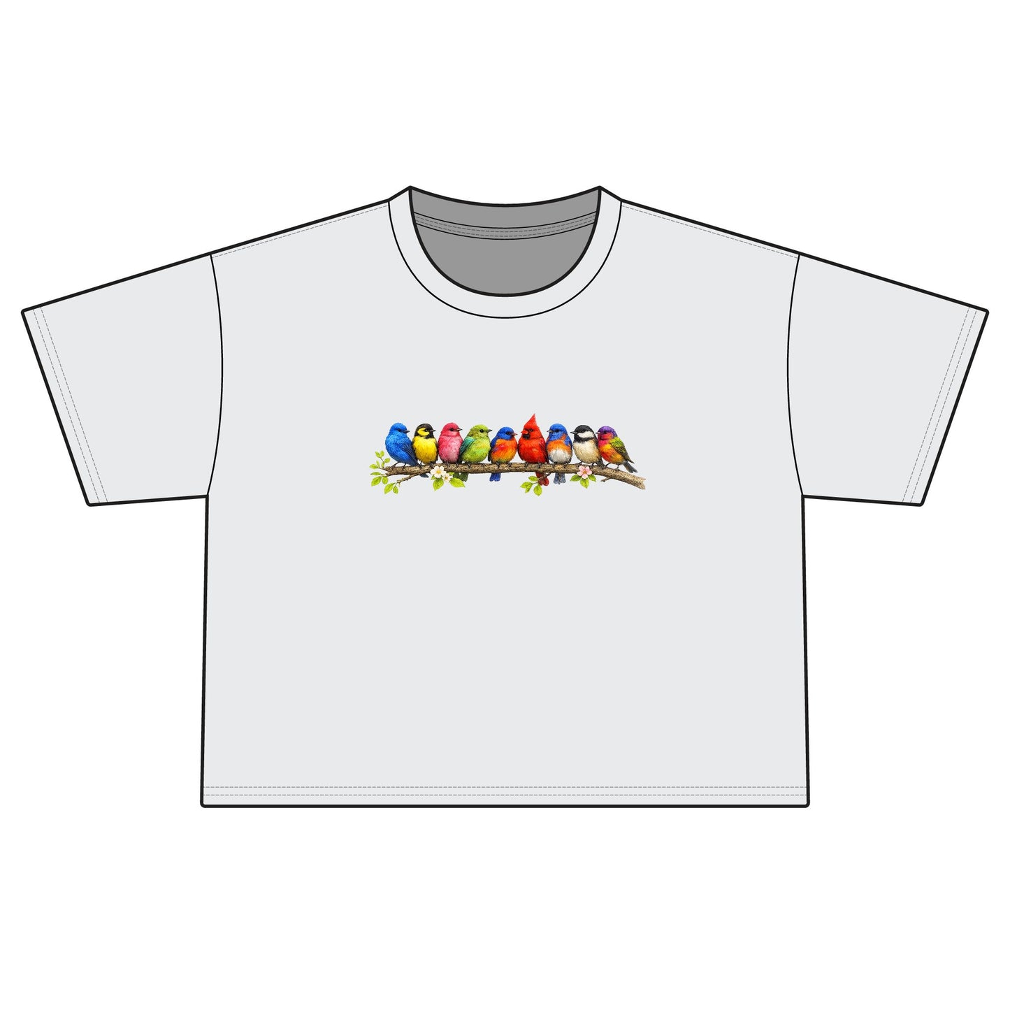 Colorful Songbirds Boxy Tee — Women's Bird Graphic Shirt