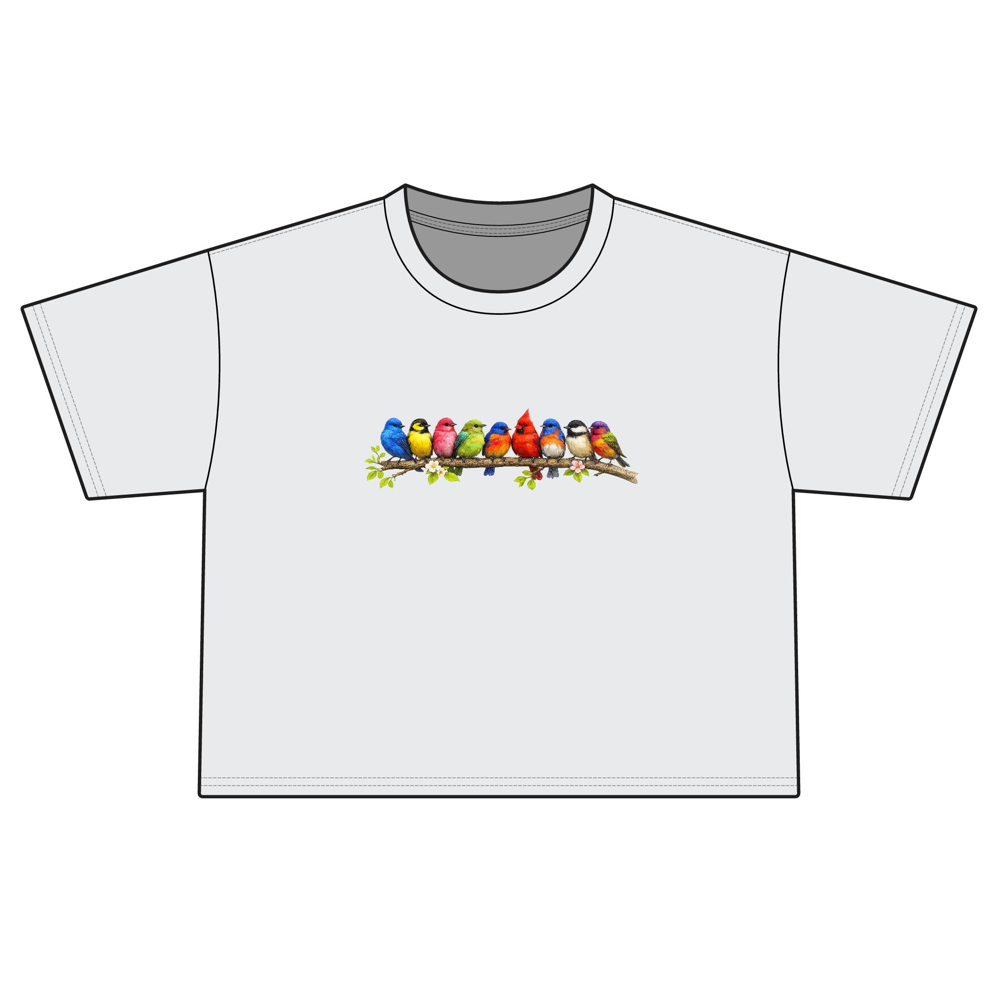 Colorful Songbirds Boxy Tee — Women's Bird Graphic Shirt