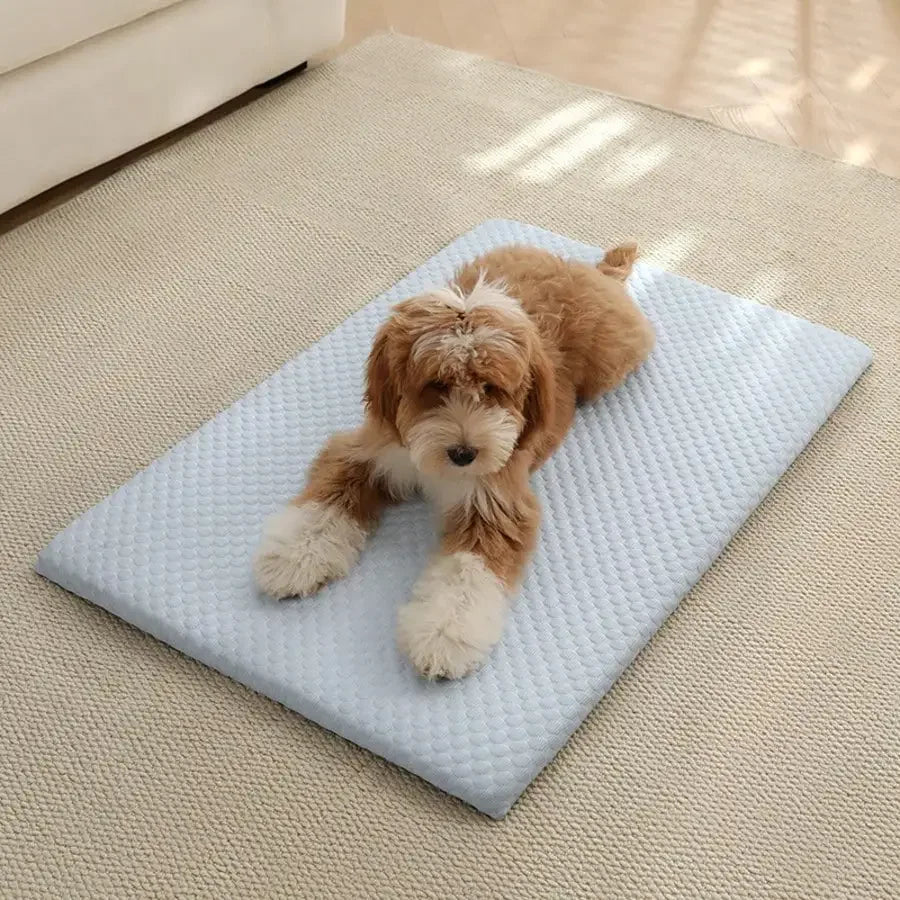 1pc Sponge Cooling Cat and Dog Pet Bed, Thick Padding Comfortable Cool Breathable, Non-Slip and Washable Cooling and Suitable For All Seasons