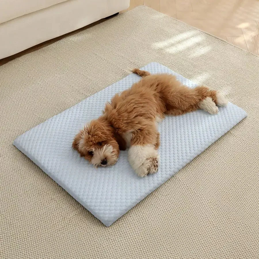 1pc Sponge Cooling Cat and Dog Pet Bed, Thick Padding Comfortable Cool Breathable, Non-Slip and Washable Cooling and Suitable For All Seasons